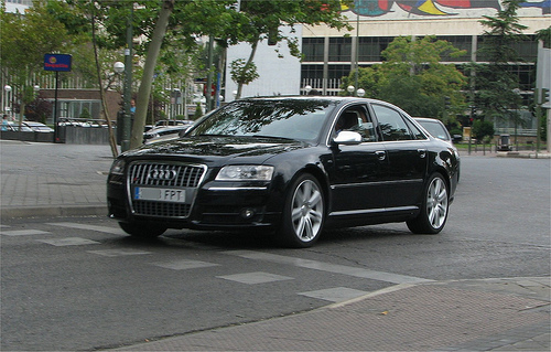 Audi S8 D3: 11 фото