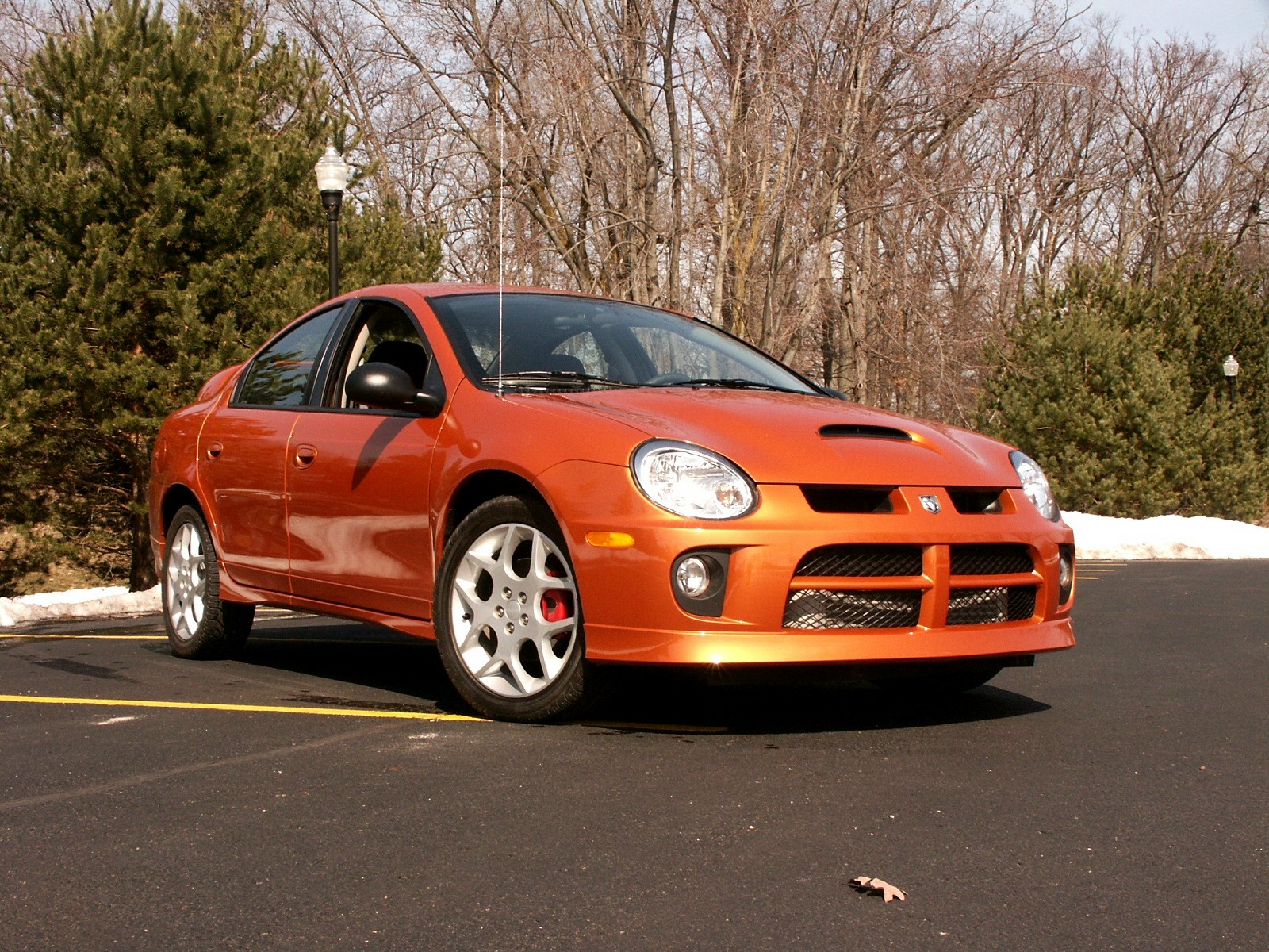 Dodge Neon: 11 фото